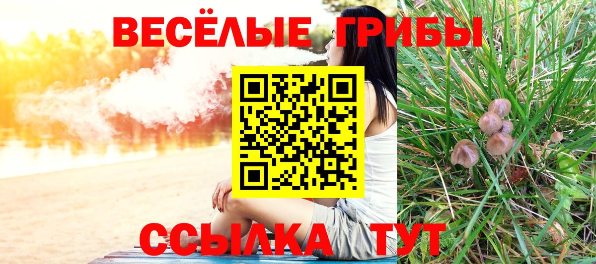 Галлюциногенные грибы мухоморы Стрежевой